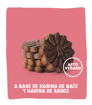 maiz Arroz Alunt